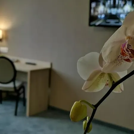 Hotel Sevilla Gold Leczeszyce