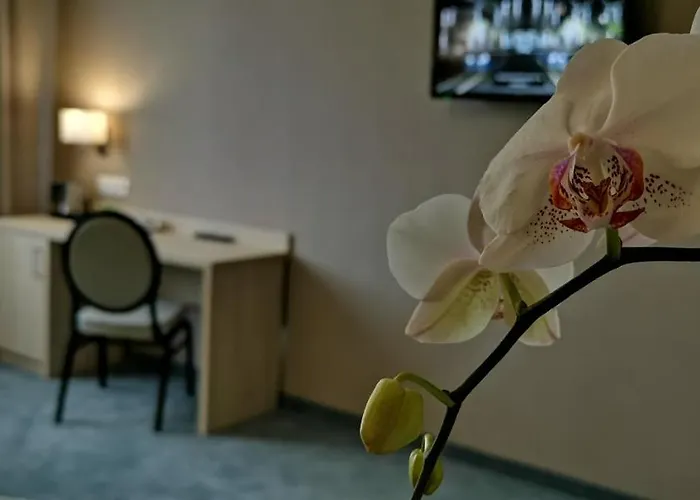 Hotel Sevilla Gold Leczeszyce